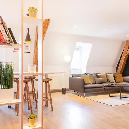 Apartmán Le Chic De Serre - Sublime Loft Au Coeur De *