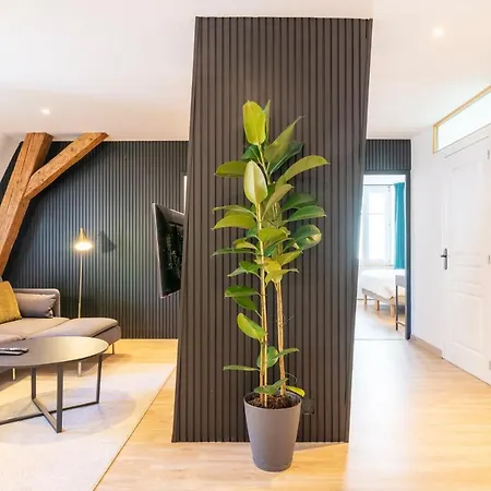 Le Chic De Serre - Sublime Loft Au Coeur De Lejlighed Nancy