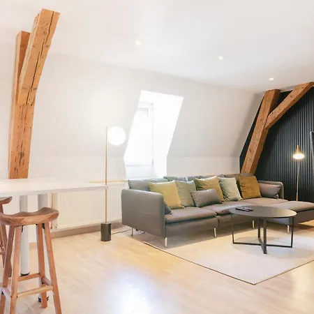 Le Chic De Serre - Sublime Loft Au Coeur De Nancy