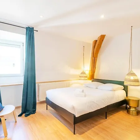 Apartment Le Chic De Serre - Sublime Loft Au Coeur De Nancy