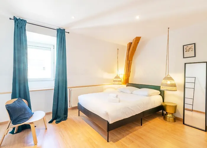 Appartamento Le Chic De Serre - Sublime Loft Au Coeur De Nancy